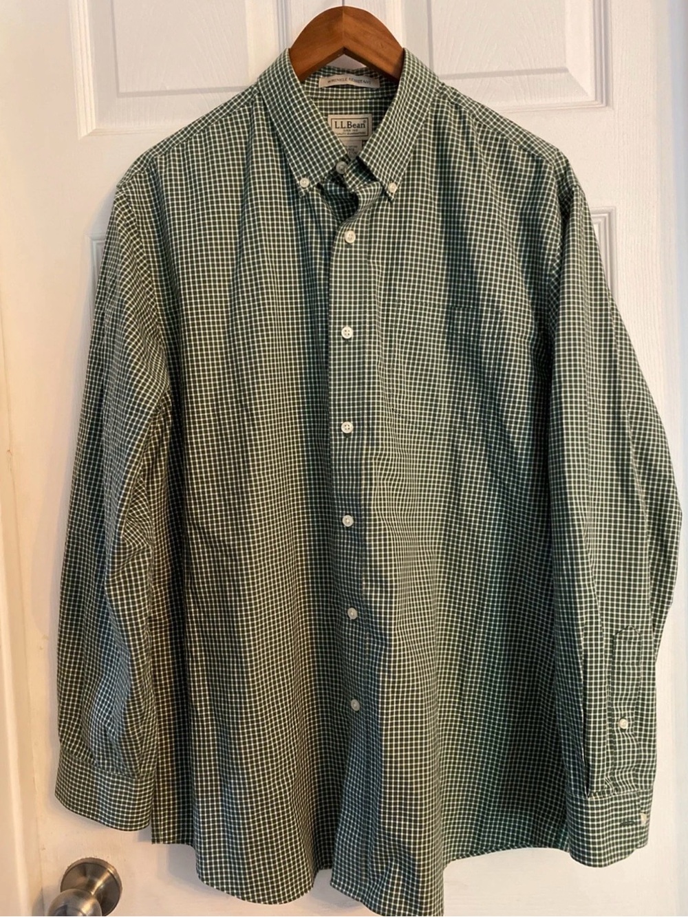 L.L. Bean Green and White Gingham Button-Down Shirt